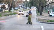 В Ленобласти и Автодоре сообщают о «светофоризации дорог»