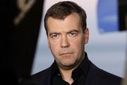Медведев разрешил продавать землю многодетным семьям